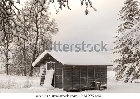 
Snowy tree branches on a winter day with a small wooden house in the middle of the picture against a blue sky background