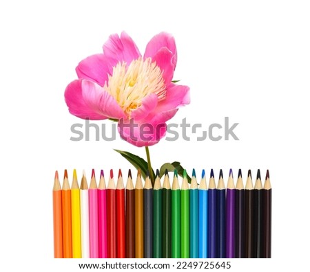 A set of colored pencils on a white background
