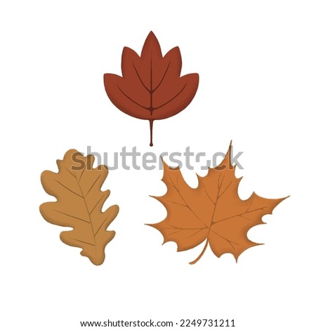 Digital illustration of autumn aesthetics