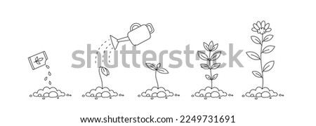 Plant growth stages. Seedling development stage. Vector contour line. Editable stroke. Royalty-Free Stock Photo #2249731691