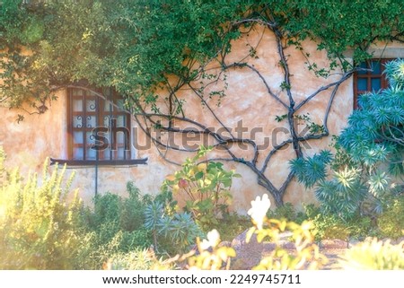 Garden, vine, and weathered walls of the facade at the Carmel Mission. Mission San Carlos Borromeo de Carmelo in Carmel-by-the -Sea, California, USA Royalty-Free Stock Photo #2249745711