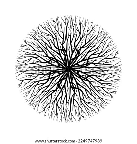 Circle Root Tree of Life Symbol Vector Illustration Isolated on White Royalty-Free Stock Photo #2249747989