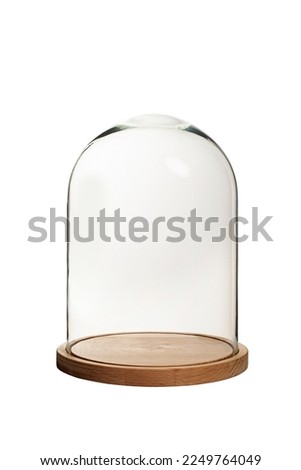 Glass dome with wooden base, protective transparent glass cover  Royalty-Free Stock Photo #2249764049