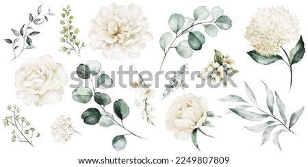 Watercolour floral illustration set. White flowers, green leaves individual elements collection. Rose, peony, eucalyptus. For bouquets, wreaths, wedding invitations, anniversary, birthday, prints. 