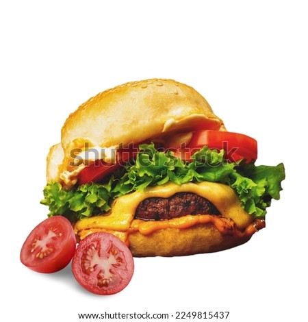 Different burgers for a restaurant menu on a white background. Isolated