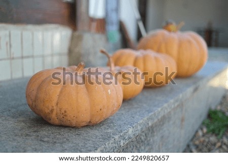 put a big old pumpkin on it