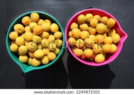 Ripe apricots in green and pink buckets, close-up, focus in the foreground, horizontal picture