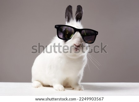 white rabbit with black ears and eyes. Funny fluffy rabbit in sunglasses. Easter bunny