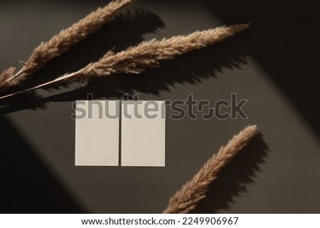 Blank paper sheet cards with mockup copy space, fluffy dried pampas grass in aesthetic warm sunlight shadow on dark background. Minimal business brand template. Flat lay, top view