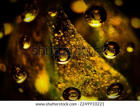 macro of a designed glass with bubbles on a light source