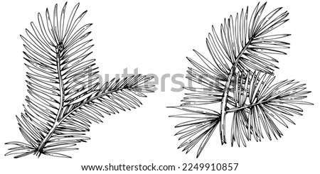 Wildflower fir-needle tree pattern in a one line style. Outline of the plant: Black and white engraved ink art needle. Sketch wild flower for background, texture, wrapper pattern, frame or border. Royalty-Free Stock Photo #2249910857