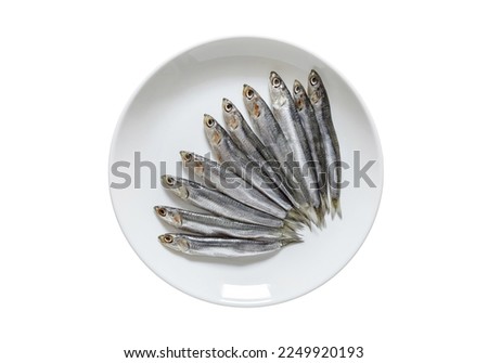 European anchovy, hamsa fresh, source of omega 3, several small fish laid out on white plate, isolated on white background with clipping path