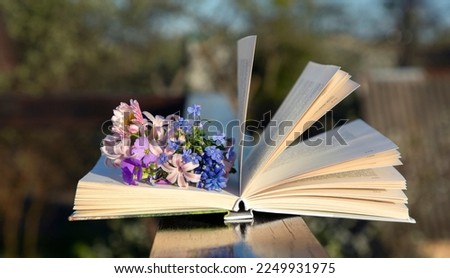 spring flowers lie on the pages of an open book, illuminated by the sun. Time for rest and education. Read the book with pleasure. Cozy poetic atmosphere. selective focus