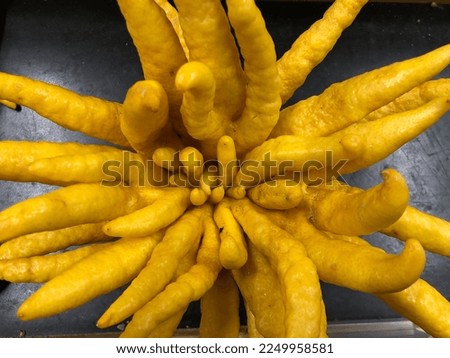 Closeup of Buddha’s hand citrus