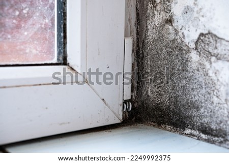 Fungus destroys the house. Dirt, infection, unsanitary conditions. Royalty-Free Stock Photo #2249992375