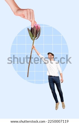 Composite collage photo of young student guy flying hold stem plant organic natural flower boyfriend gift for girlfriend isolated on blue background