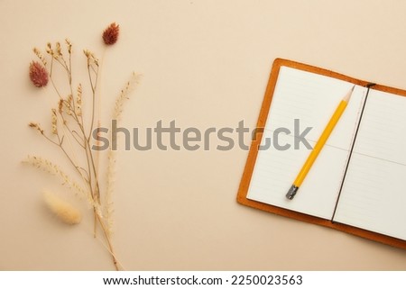 Romantic dried flowers on a solid background
