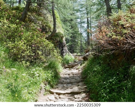 Hiking trail in Alpe Devero, Parco Naturale Veglia-Devero, Val d'Ossola, Italy. High quality photo