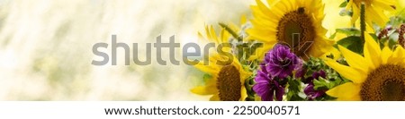 Banner 4x1 with a bouquet with sunflower flowers, petunias and meadow flowers