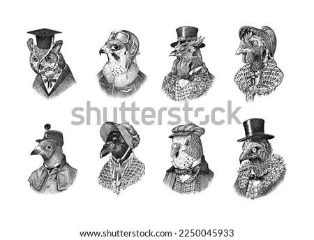 Bird character in a hat and suit. Crow Dove Parrot Owl Rooster Chicken Vulture, Peregrine falcon. The man in a suit. Fashionable Aristocrat. Hand drawn bird. Engraved old monochrome sketch. Royalty-Free Stock Photo #2250045933