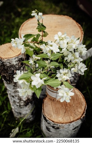 Bouquet of white flowers in the forest near the trees during the day. Image for your creativity, design or illustrations.