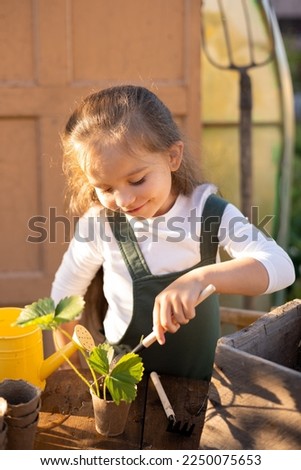 A little cute long-haired farmer girl is engaged in planting plants. Village, vegetable garden, gardening. Ecology.