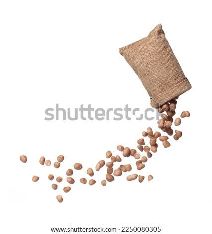 Peanut flying in sack bag, brown grain peanuts throw abstract float. Beautiful complete seed pea peanut sack bag splash in air, food object design. White background isolated high speed shutter freeze