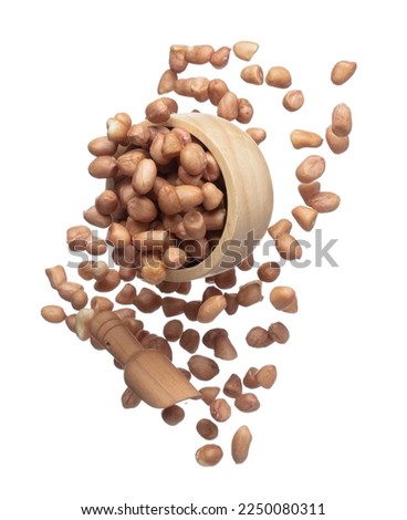 Peanut flying in wood bowl, brown grain peanuts throw abstract float. Beautiful complete seed pea peanut bowl splash in air, food object design. White background isolated high speed shutter freeze