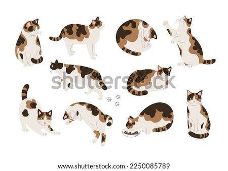 Illustration material of various poses of cats.