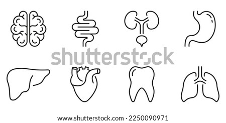 Human Brain, Intestine, Urinary System, Tooth, Stomach, Lung, Liver, Heart Line Icon Set. Healthcare Outline Icon. Internal Organ Anatomy Pictogram. Editable Stroke. Isolated Vector Illustration. Royalty-Free Stock Photo #2250090971