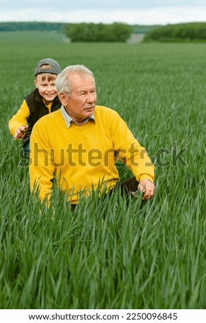 Family activity outdoors game and playtime positive. An elderly man sitting the grandson is running behind on the green grass . High quality photo Royalty-Free Stock Photo #2250096845