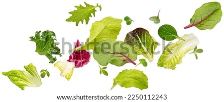 Falling salad leaves isolated on white background with clipping path Royalty-Free Stock Photo #2250112243