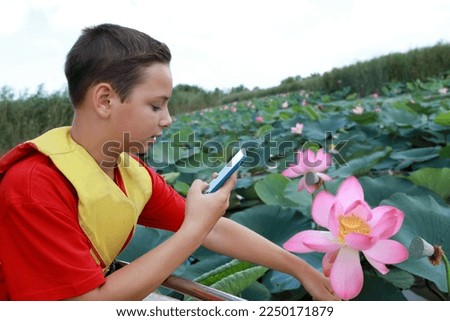 Child takes picture of indian lotus flower in estuary of Sea of Azov, Primorsko-Akhtarsk