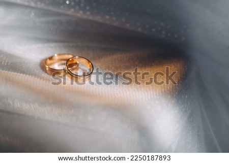 Designer wedding rings lying on the surface. Two wedding rings.