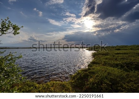 Open landscape of Fulufjället National Park in Sweden. Lakes, marshlands, shrubs, mosses, weeds. Natural ecosystem. Unspoiled environment. Wilderness with no people. Sunny summer day. Scandinavian tra