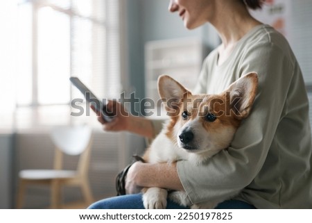 Side view of young female owner of welsh pembroke corgi dog using mobile phone while sitting in the hall of veterinary clinics Royalty-Free Stock Photo #2250197825
