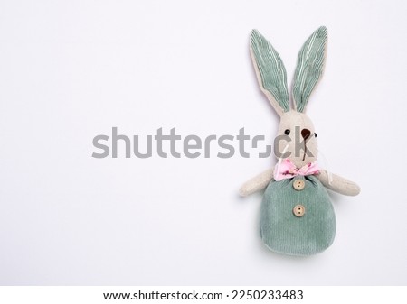 Easter bunny on a white background. Perfect background for Easter projects. Good quality photo.