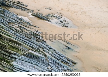 Flysch buried in the sand of a beach, beautiful geological background.