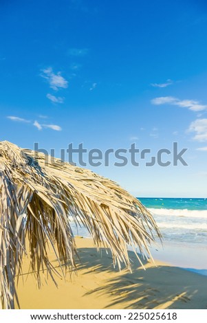 beach with thatched umbrellas on the shore of the island of Cyprus