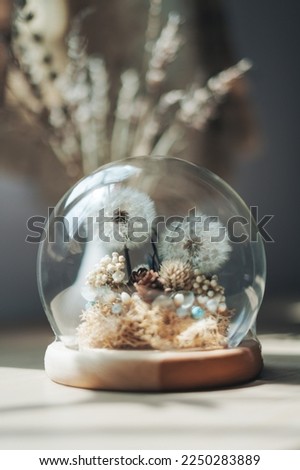 Preserved dandelion flower glass dome with lavender background