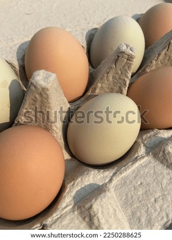 Brown and Blue Eggs closeup picture