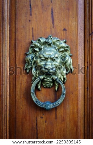 Antique decorative handle knocker on wooden vintage house door. Classical metal bronze lion head 