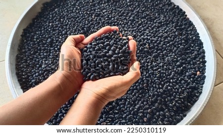 Black beans, organic beans, whole and incomplete beans, non-toxic, taken by farmers.  The background image is a selection of black beans. Royalty-Free Stock Photo #2250310119