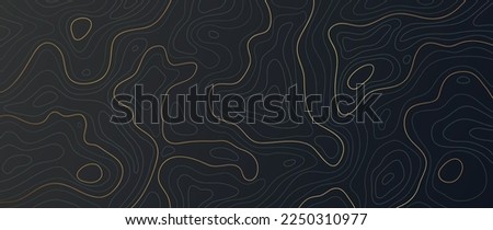 Luxury gold abstract line art background vector. Mountain topographic terrain map background with gold lines texture. Design illustration for wall art, fabric, packaging, web, banner, app, wallpaper. Royalty-Free Stock Photo #2250310977
