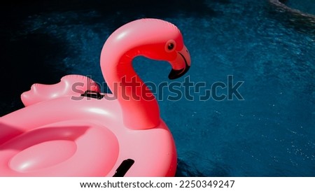 Summer vacation fun funny Pink  Flamingo  float  in a swimming pool trendy Flamingo on a blue summer concept