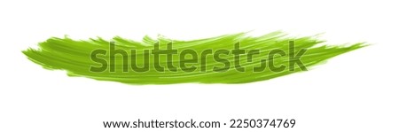 Lime green brush isolated on white background. lime green brush.