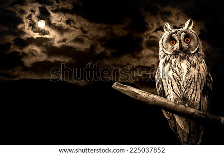 owl and full moon halloween abstract background
