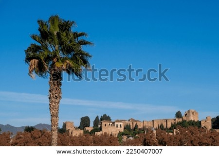 view of the citadel of Malaga surrounded by palm trees under a blue sky; old arabic city palace castle built on a mountain