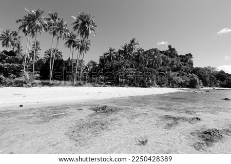 Perfect beach landscape - Las Cabanas beach in El Nido, Palawan island, Philippines. Black and white retro style photo.