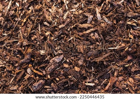 Background natural from wood recycled mulch. Close-up of wood chips from bark of tree covering ground, mulching and enriching  soil. Zero waste, natural organic farming Royalty-Free Stock Photo #2250446435